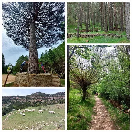 El Hogar De Mariposas - Vute-22-057 Casa vacanze *