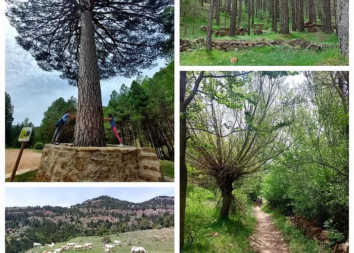 El Hogar De Mariposas - Vute-22-057 Semesterbostad *